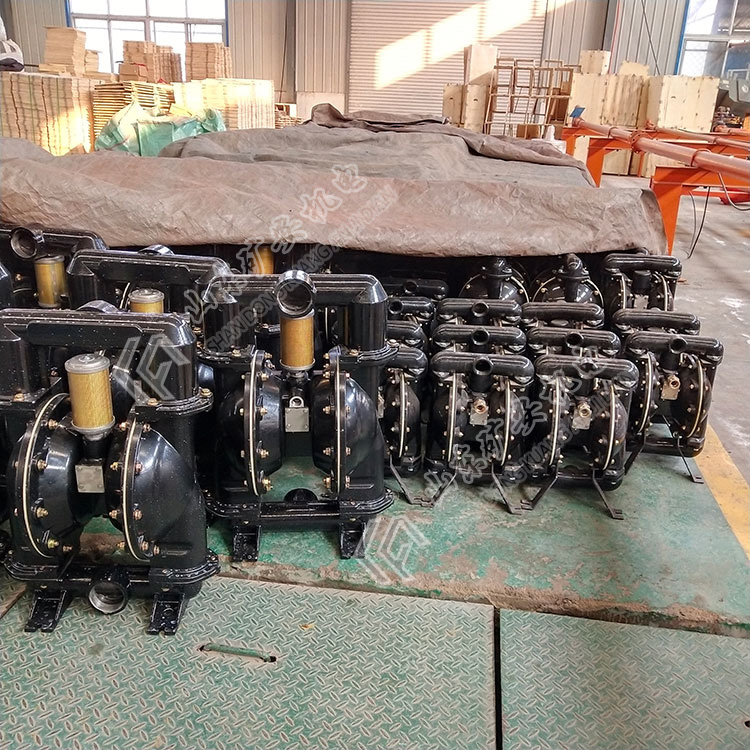 BQG320/0.3气动隔膜泵