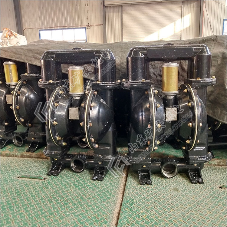 BQG250/0.3气动隔膜泵