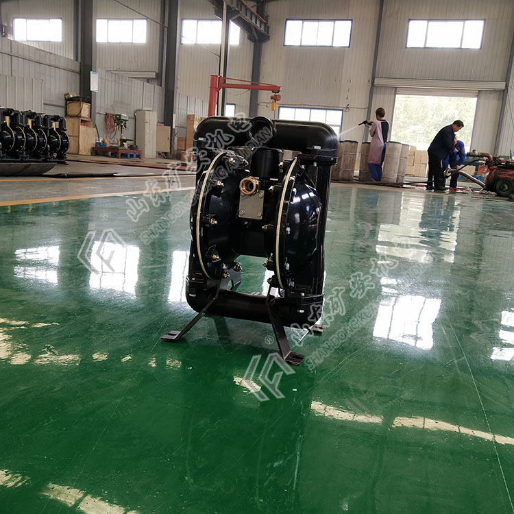 BQG150/0.2气动隔膜泵